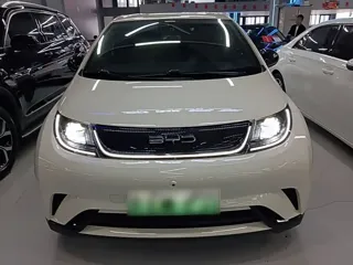 BYD Dolphin 2024 купить из Китая, цена 1 604 000 ₽ — Suifenhe Auto