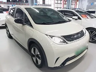 BYD Dolphin 2024 купить из Китая, цена 1 604 000 ₽ — Suifenhe Auto