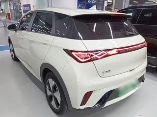 BYD Dolphin 2024 купить из Китая, цена 1 604 000 ₽ — Suifenhe Auto