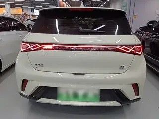 BYD Dolphin 2024 купить из Китая, цена 1 604 000 ₽ — Suifenhe Auto