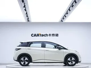 BYD Dolphin 2023 купить из Китая, цена 1 367 000 ₽ — Suifenhe Auto