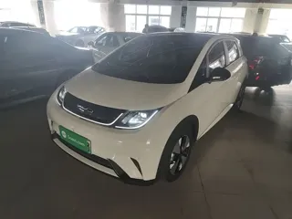 BYD Dolphin 2023 купить из Китая, цена 1 581 000 ₽ — Suifenhe Auto