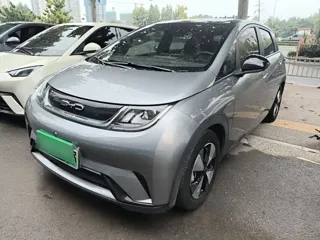 BYD Dolphin 2023 купить из Китая, цена 1 545 000 ₽ — Suifenhe Auto