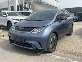 BYD Dolphin 2024 купить из Китая, цена 1 629 000 ₽ — Suifenhe Auto