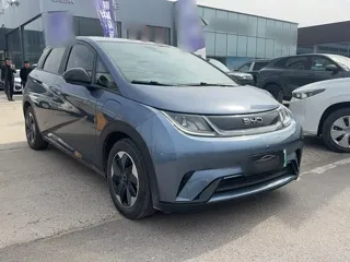 BYD Dolphin 2024 купить из Китая, цена 1 629 000 ₽ — Suifenhe Auto