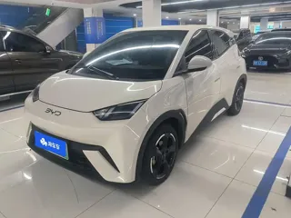 BYD Seagull 2024 купить из Китая, цена 1 363 000 ₽ — Suifenhe Auto