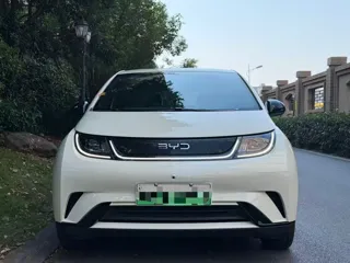 BYD Dolphin 2024 купить из Китая, цена 1 568 000 ₽ — Suifenhe Auto