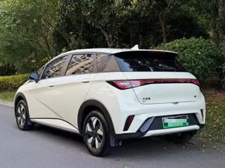 BYD Dolphin 2024 купить из Китая, цена 1 568 000 ₽ — Suifenhe Auto