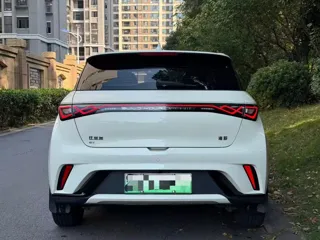 BYD Dolphin 2024 купить из Китая, цена 1 568 000 ₽ — Suifenhe Auto