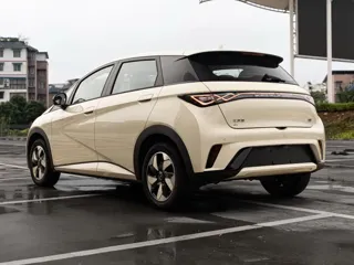 BYD Dolphin 2026 купить из Китая, цена 1 820 000 ₽ — Suifenhe Auto
