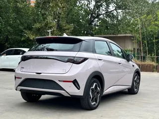BYD Dolphin 2025 купить из Китая, цена 1 622 000 ₽ — Suifenhe Auto