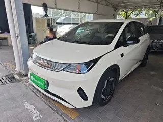 BYD Dolphin 2025 купить из Китая, цена 1 879 000 ₽ — Suifenhe Auto
