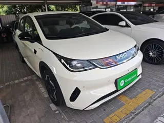BYD Dolphin 2025 купить из Китая, цена 1 879 000 ₽ — Suifenhe Auto