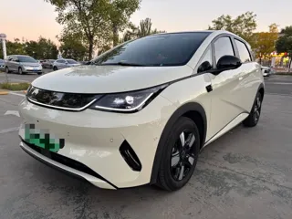 BYD Dolphin 2025 купить из Китая, цена 3 035 000 ₽ — Suifenhe Auto