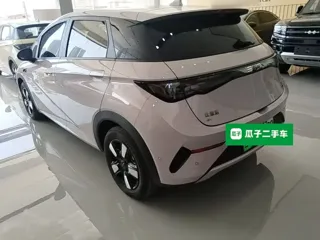 BYD Dolphin 2026 купить из Китая, цена 2 974 000 ₽ — Suifenhe Auto