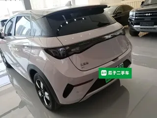 BYD Dolphin 2026 купить из Китая, цена 2 974 000 ₽ — Suifenhe Auto