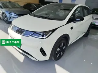 BYD Dolphin 2026 купить из Китая, цена 2 974 000 ₽ — Suifenhe Auto