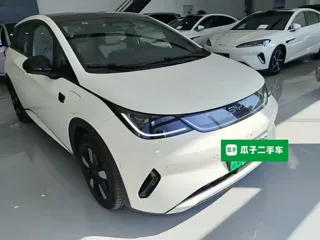 BYD Dolphin 2026 купить из Китая, цена 2 974 000 ₽ — Suifenhe Auto