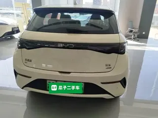 BYD Dolphin 2026 купить из Китая, цена 2 974 000 ₽ — Suifenhe Auto