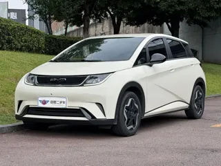 BYD Dolphin 2022 купить из Китая, цена 1 403 000 ₽ — Suifenhe Auto