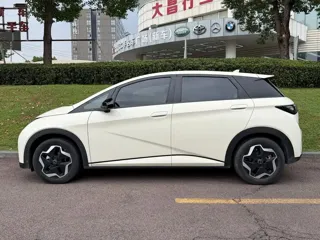 BYD Dolphin 2022 купить из Китая, цена 1 403 000 ₽ — Suifenhe Auto