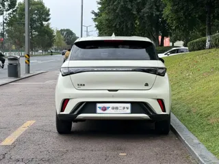 BYD Dolphin 2022 купить из Китая, цена 1 403 000 ₽ — Suifenhe Auto