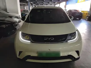 BYD Dolphin 2025 купить из Китая, цена 1 683 000 ₽ — Suifenhe Auto