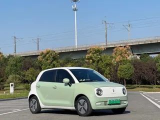 ORA Black Cat 2022 купить из Китая, цена 1 048 000 ₽ — Suifenhe Auto