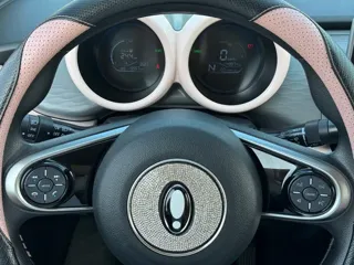 ORA Black Cat 2022 купить из Китая, цена 1 048 000 ₽ — Suifenhe Auto
