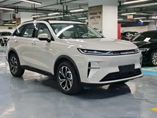 Haval Xiaolong Max 2025 купить из Китая, цена 3 497 000 ₽ — Suifenhe Auto