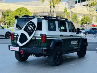 Tank 300 2025 купить из Китая, цена 6 624 000 ₽ — Suifenhe Auto